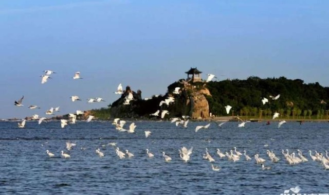  热那亚灯塔之城德比激战，海风拂面见证激情对决